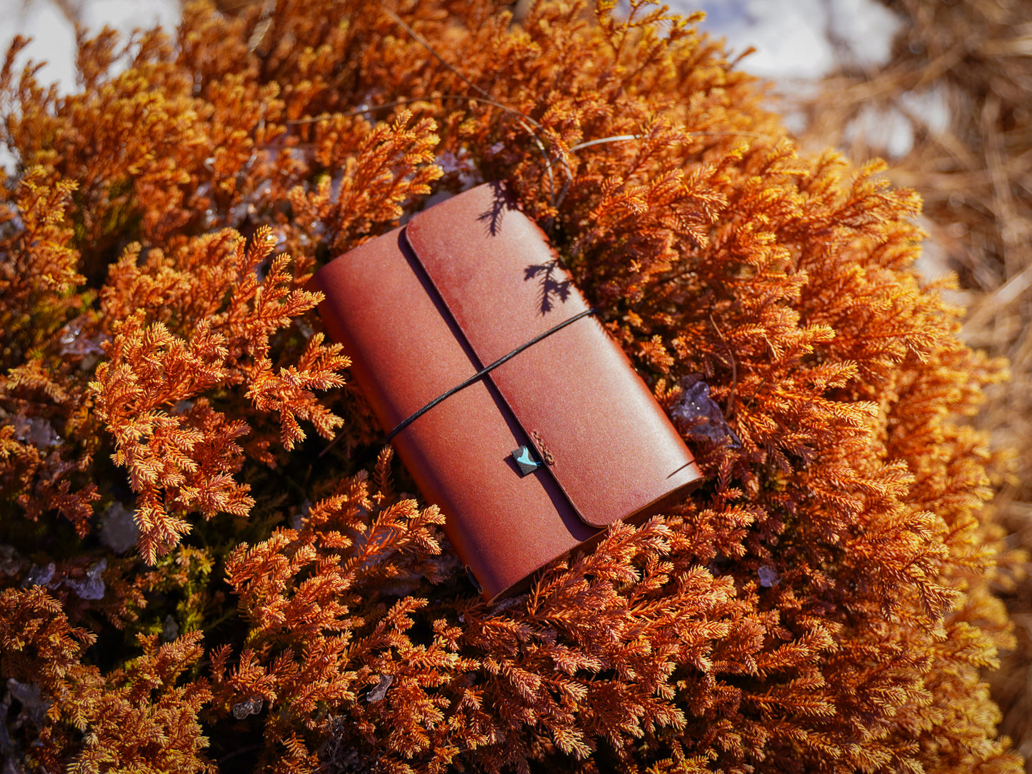 Milwaukee Leather Travel Journal - Latigo Espresso