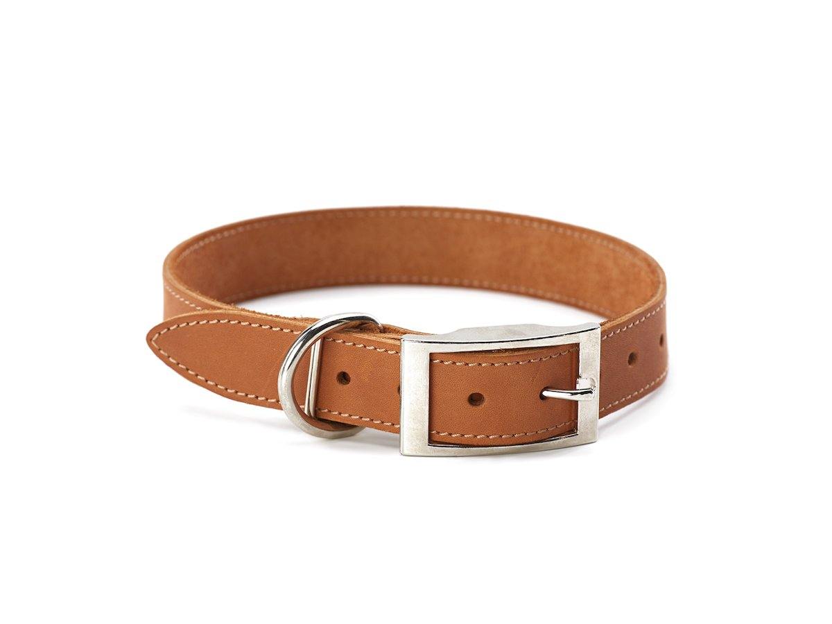 Crazy Horse Leather Dog Collar - Wheat Pet collar - olpr.